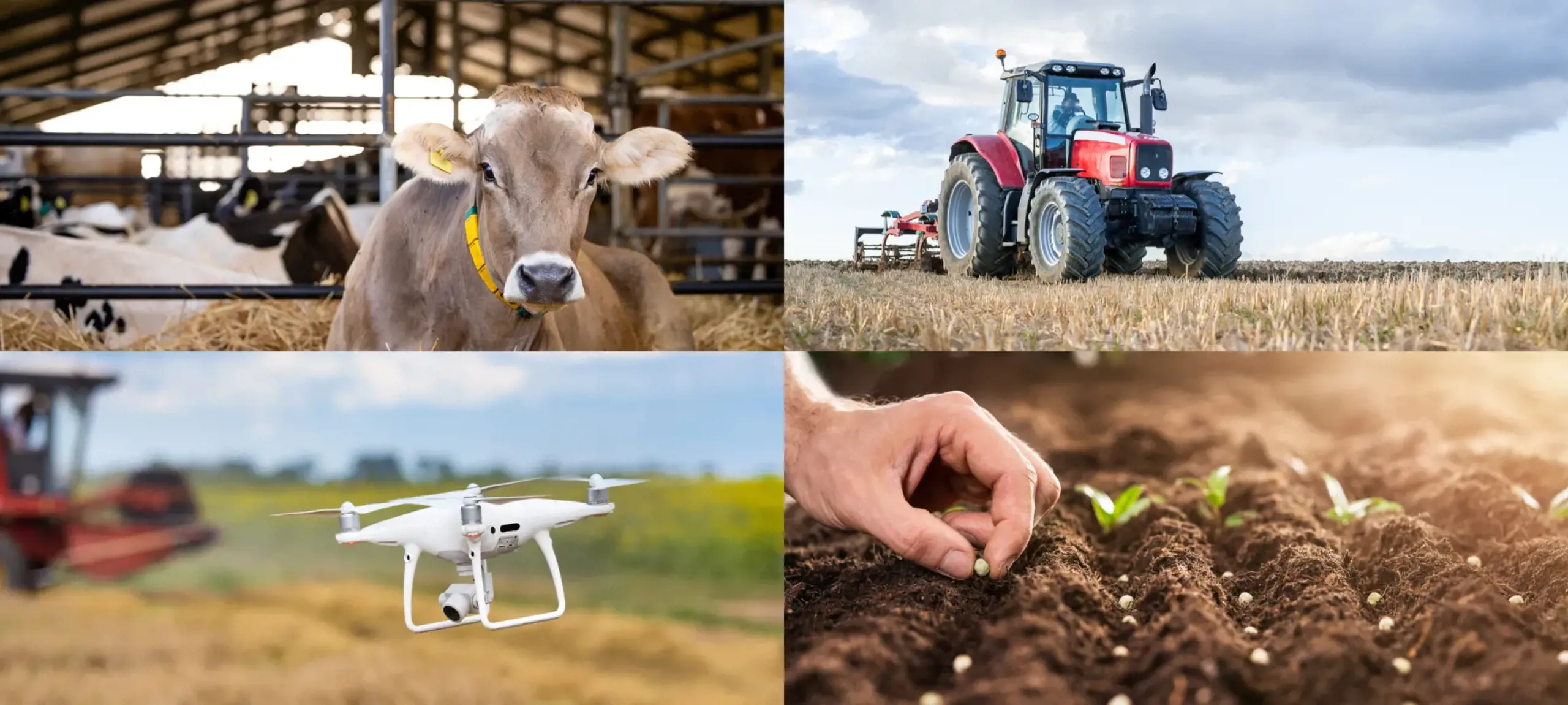 I settori di Fieragricola