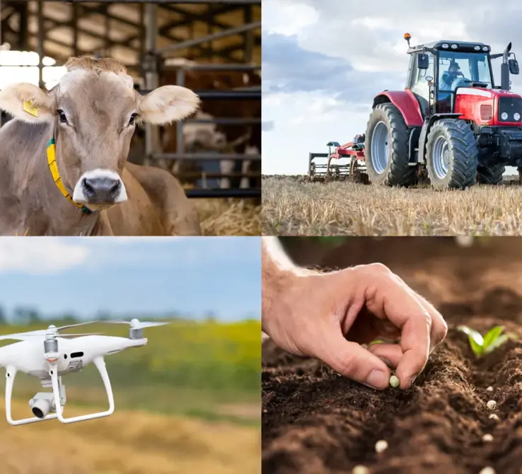 I settori di Fieragricola